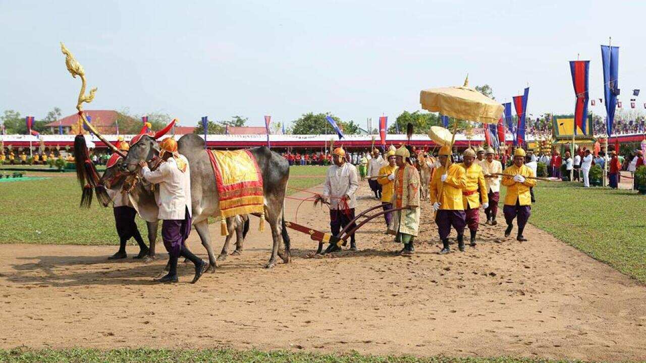 Royal Ploughing ceremony in Cambodia