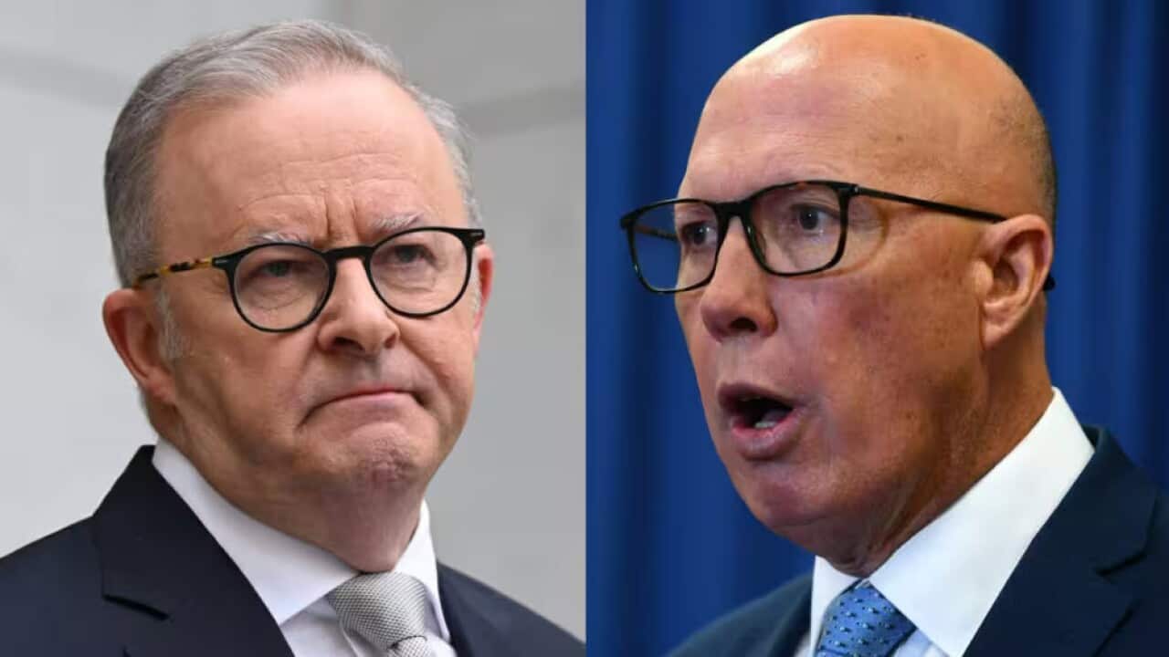 Albanese - Dutton AAP.jpg