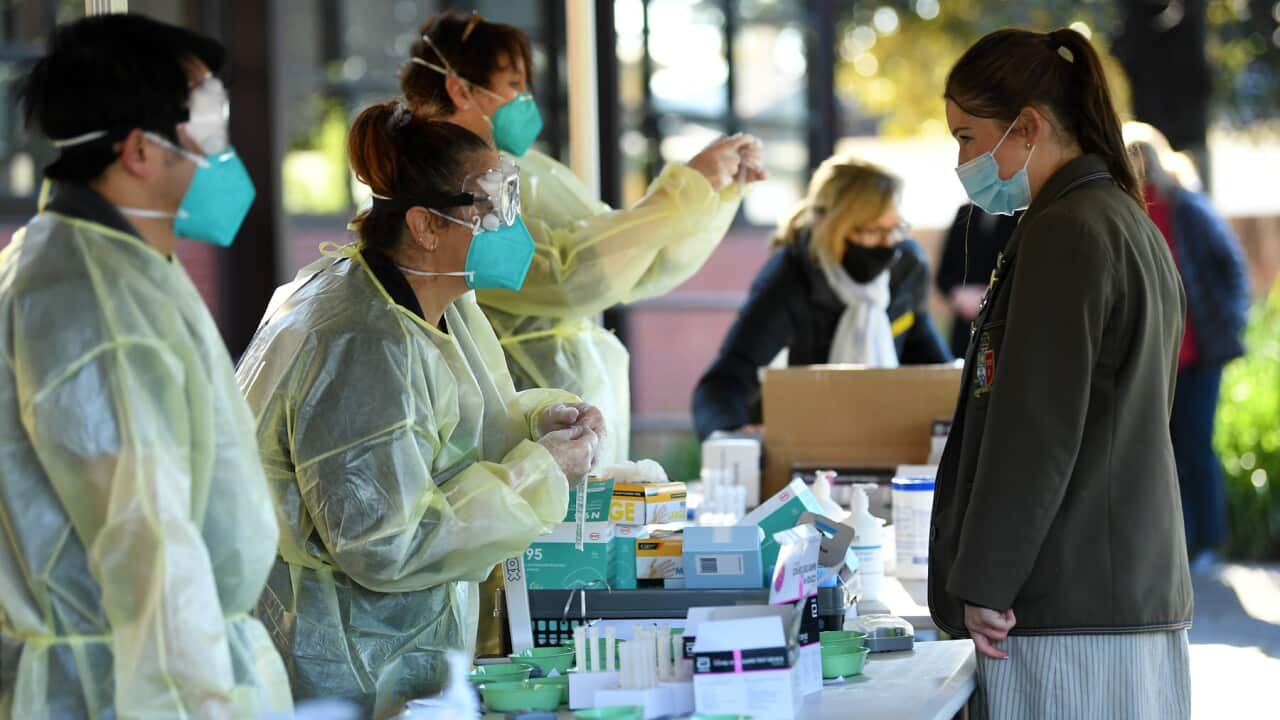 Rapid Antigen test administer by a TLC Healthcare in Brighton, Melb