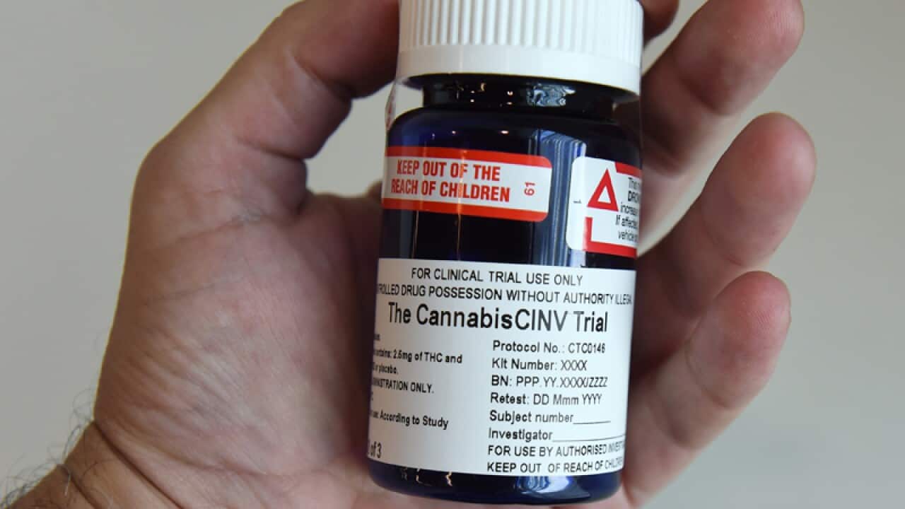 Medicinal cannabis to be used in a NSW trial