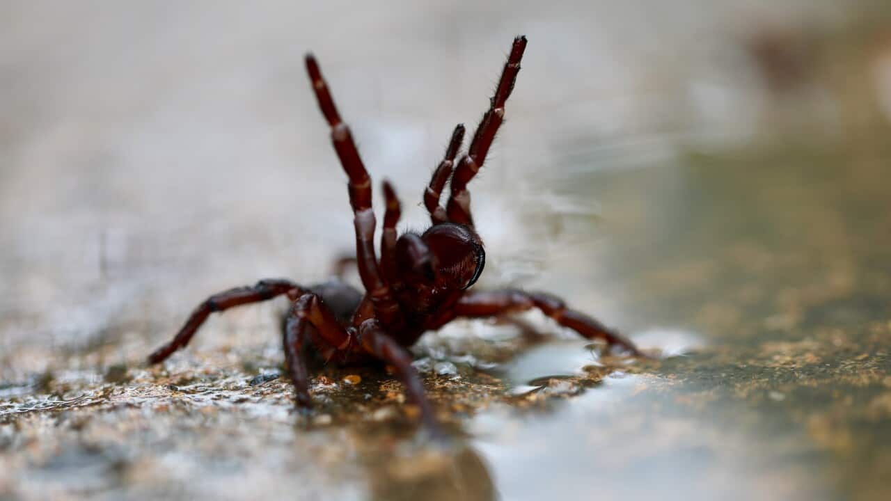 Image for read more article 'READ MORE'