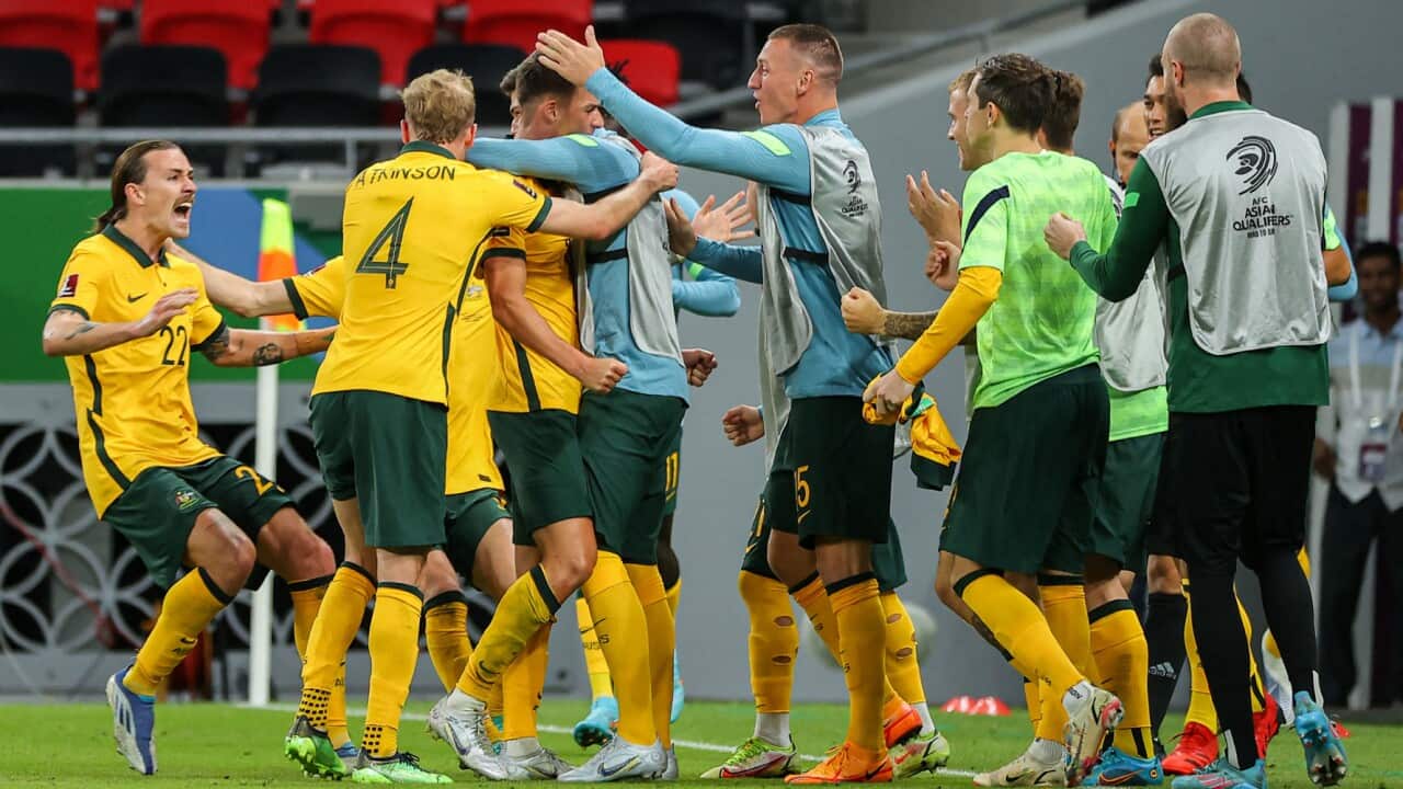 The Socceroos celebrate a goal against the UAE