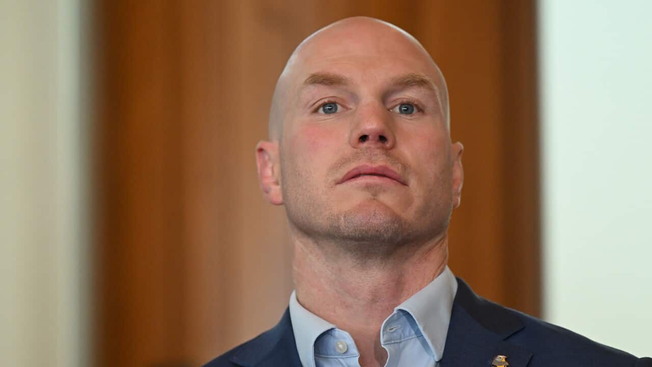 ALLEGRA SPENDER HOUSING PRESSER