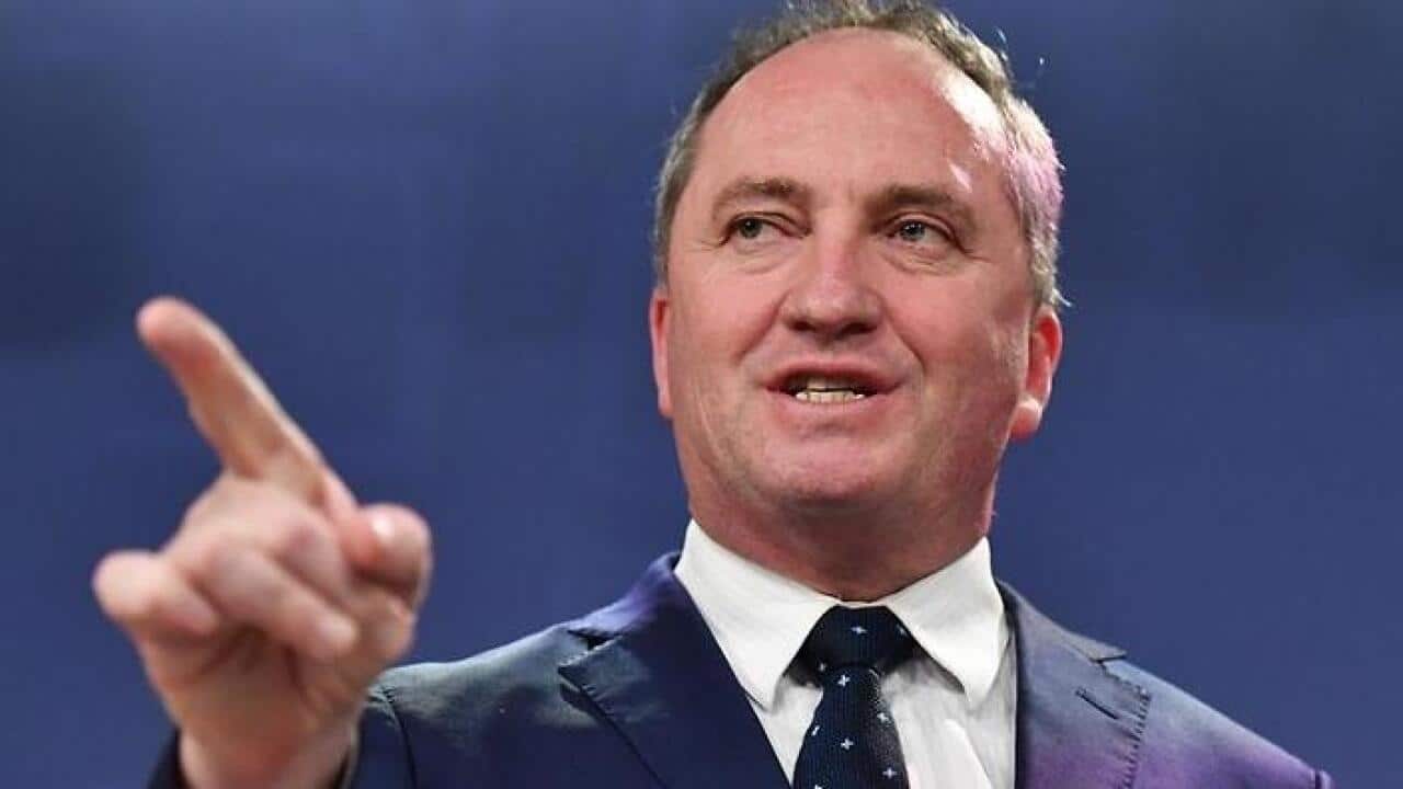 Barnaby Joyce says gas companies have no reason to tell the government "porkies" on domestic sales. (AAP)