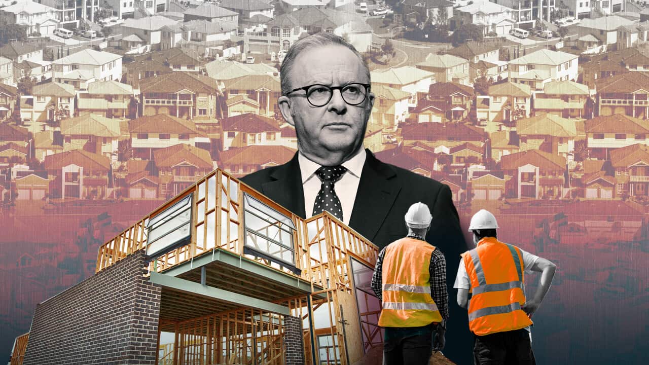 Graphic art of Anthony Albanese wearing a suit, a house under construction and a rear view of two men wearing yellow hi-vis vests superimposed on a view of houses in a suburb