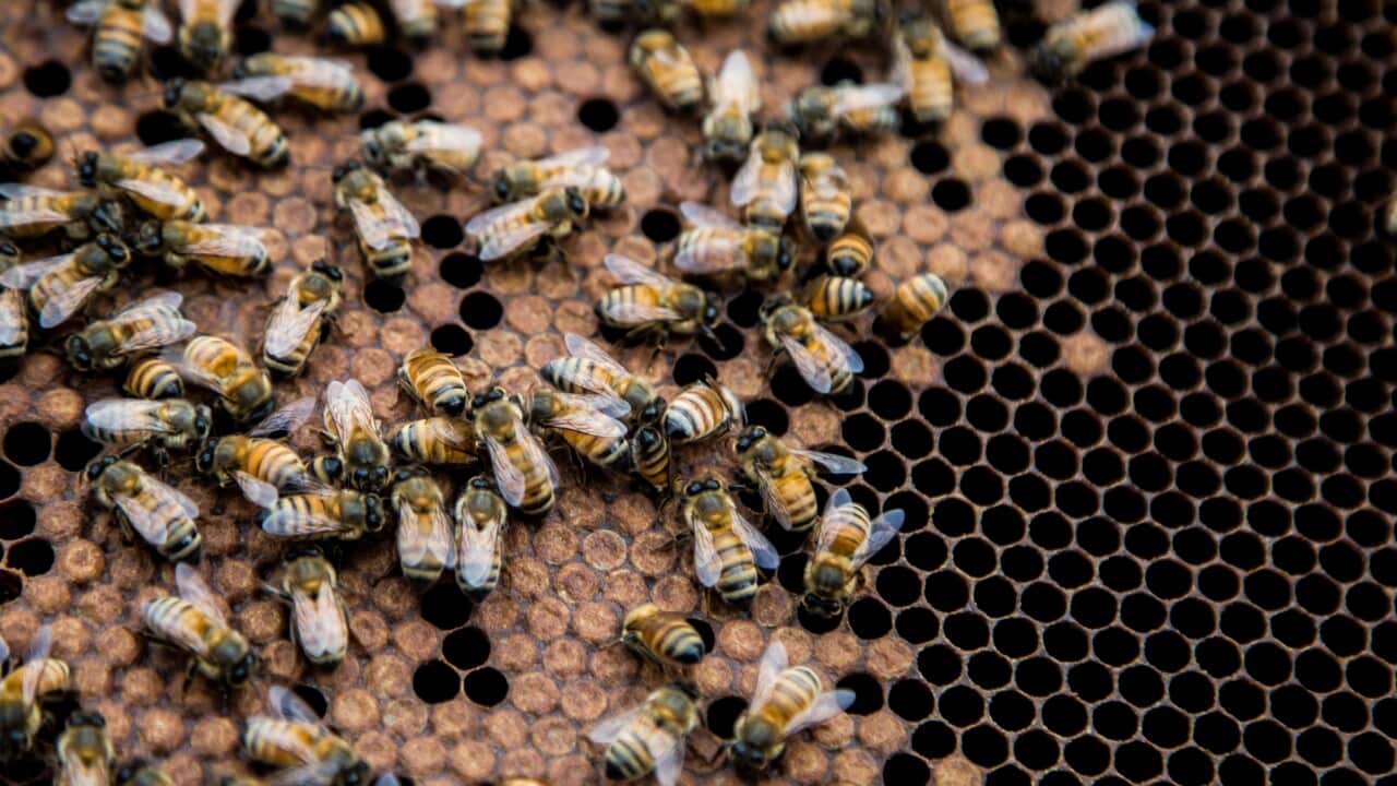 Image for read more article 'READ MORE'