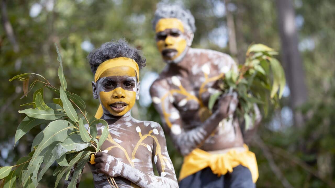Members of the Gumatj clan prepare to dance at the Garma Festival in northeast Arnhem Land.