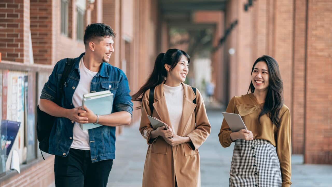 Image for read more article 'READ MORE'