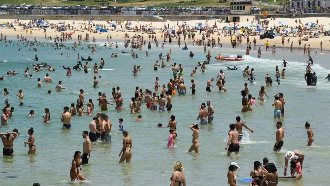 People cool off in the water during heatwave conditions at Bondi Beach in Sydney, Saturday, 28 November, 2020.