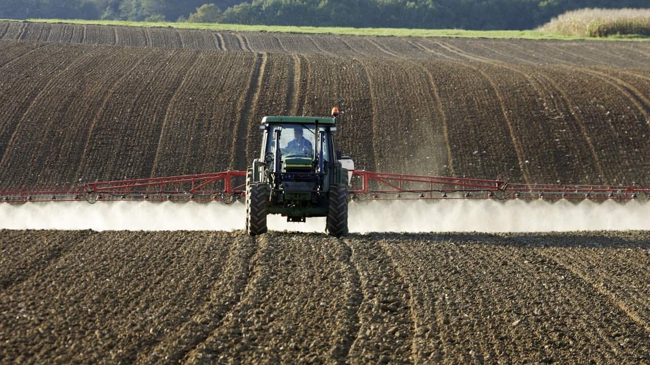 A farmer spraying crops (AAP)