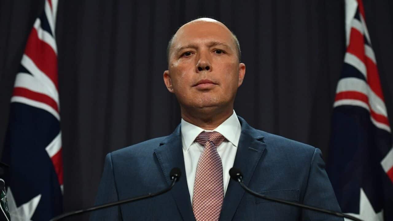 Emails provided to a Senate inquiry into the granting of visas to au pairs by Peter Dutton have been released.