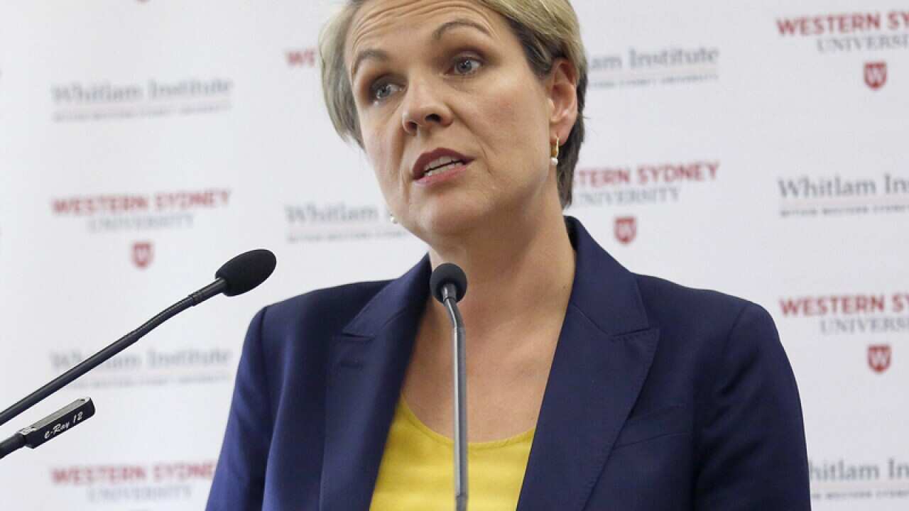 Deputy Opposition leader Tanya Plibersek