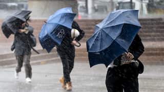 People are seen with umbrellas in Sydney