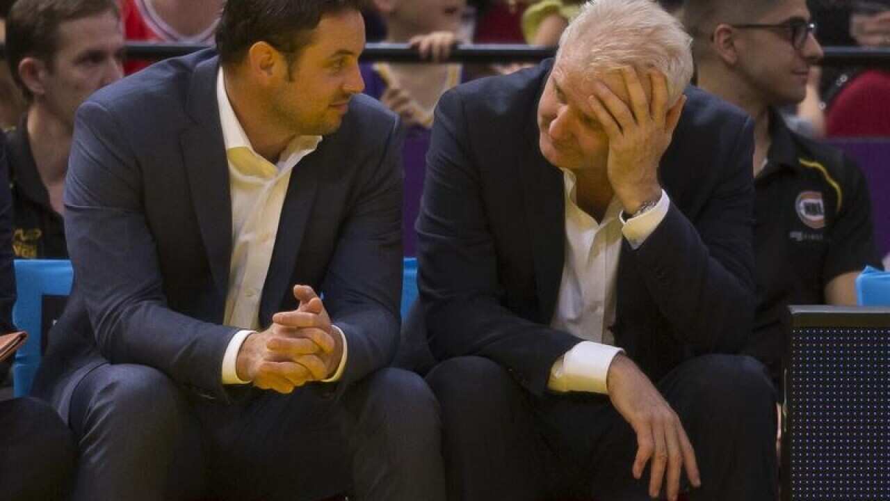 NBL KINGS WILDCATS GAZE