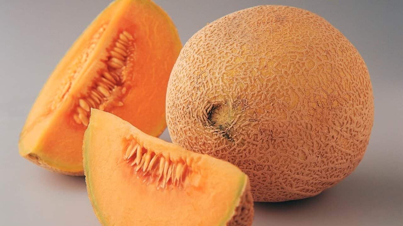 Third person dies following listeria outbreak SBS Korean