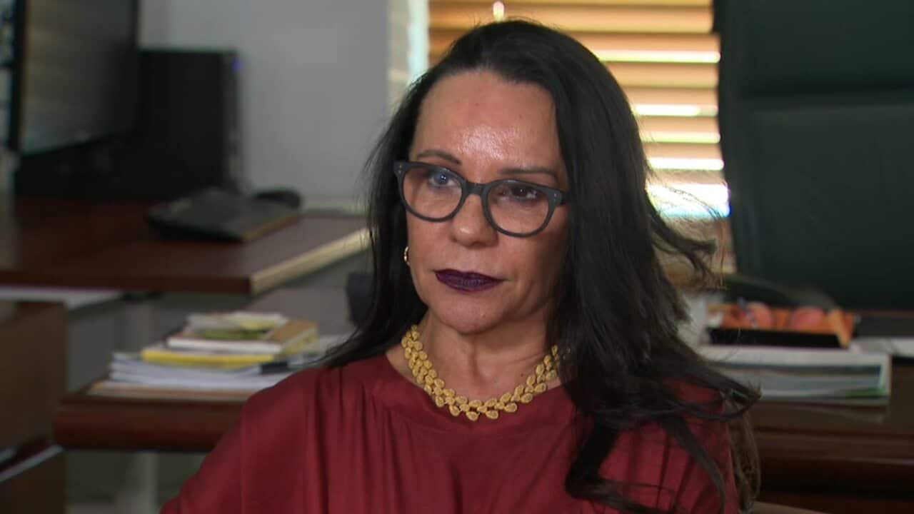 Labor MP Linda Burney says the federal government should seek to re-negotiate with the person who holds the copyright for the Aboriginal flag.