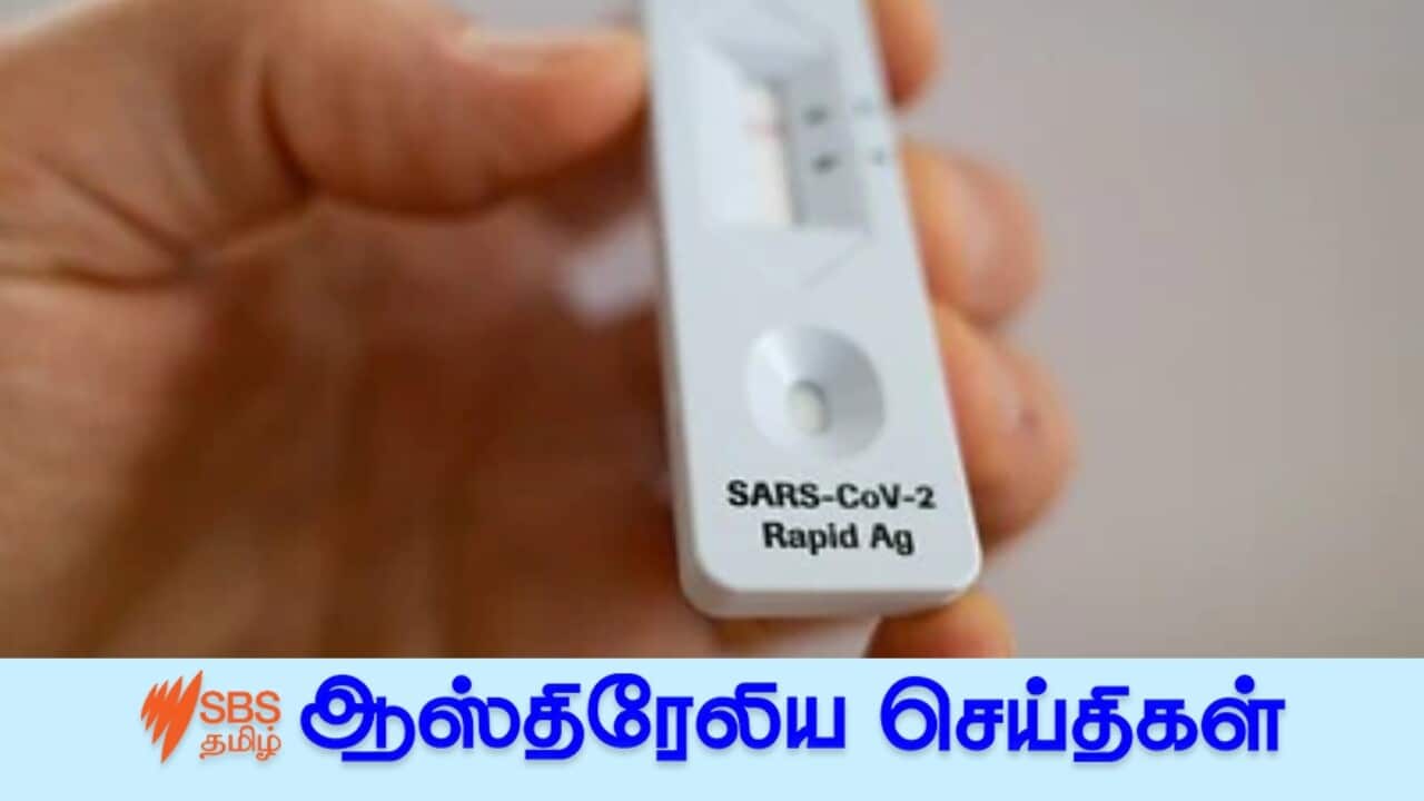 AAP