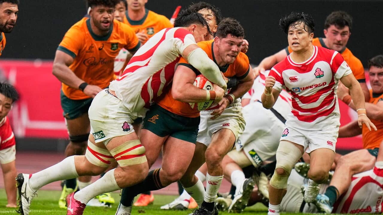 Japan Australia Rugby
