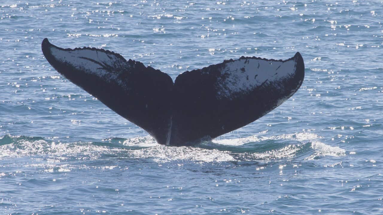 Image for read more article 'READ MORE'