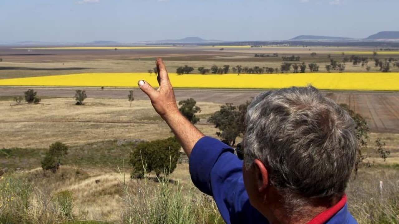 A man points to the proposed site of a coal mine in northern NSW
