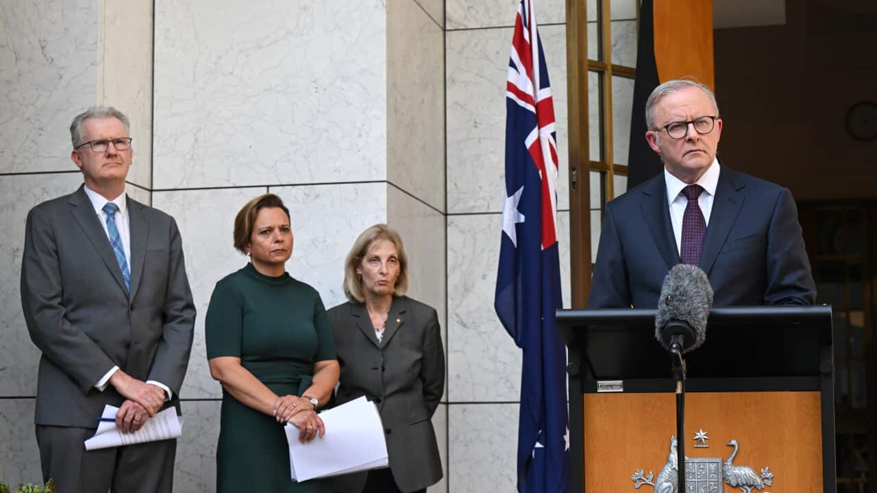 ALBANESE ROYAL COMMISSION ANNOUNCEMENT