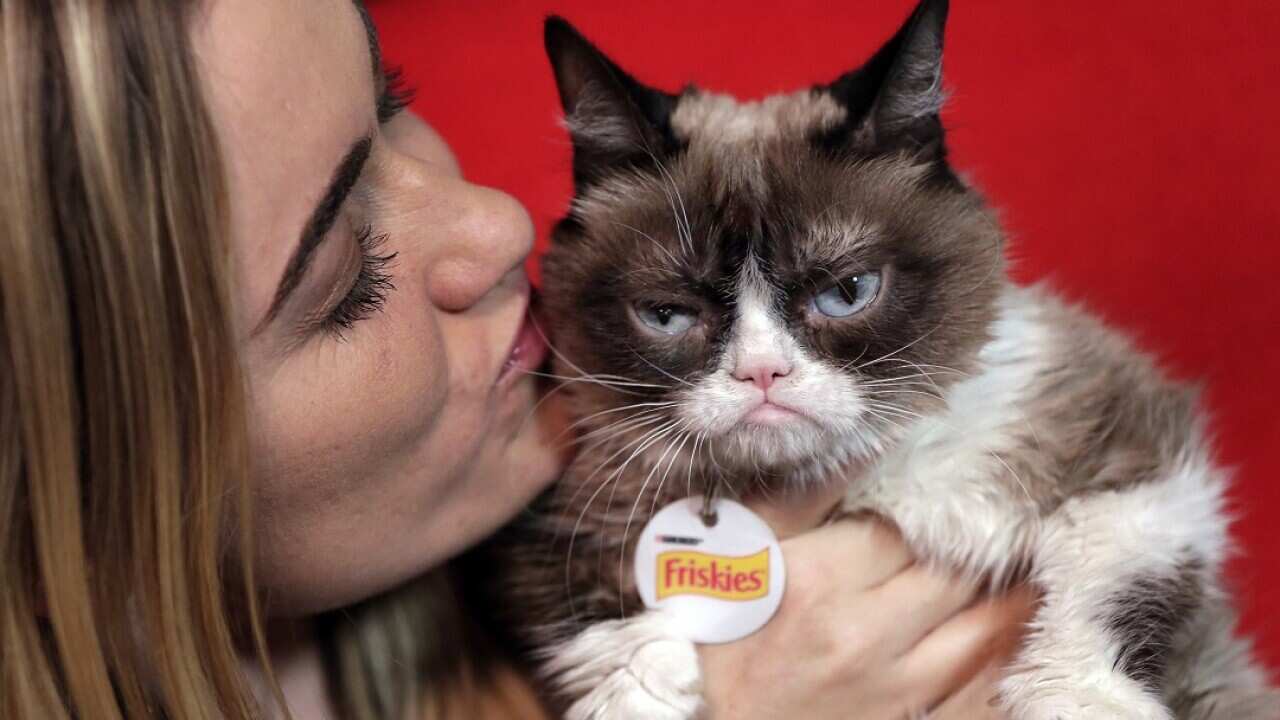 Grumpy Cat poses for photos with owner Tabatha Bundesen in New York in 2016.