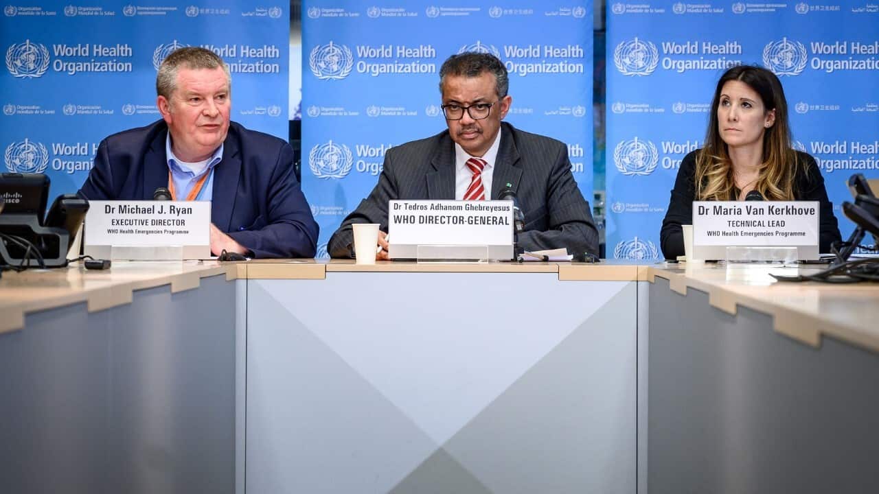 Doctors Mike Ryan, Tedros Ghebreyesus and Maria van Kerkhove at a WHO media briefing (Getty).jpg