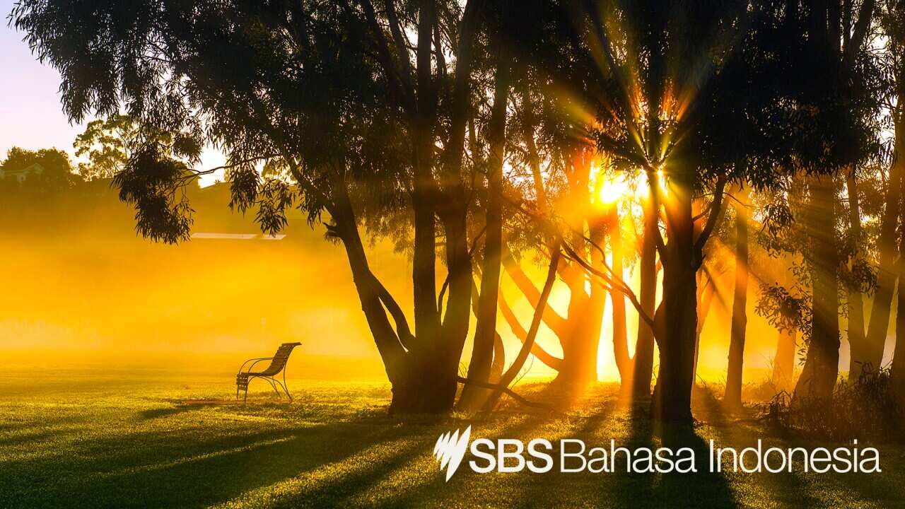 SBS News Indonesian Program – 15 Feb 2021.