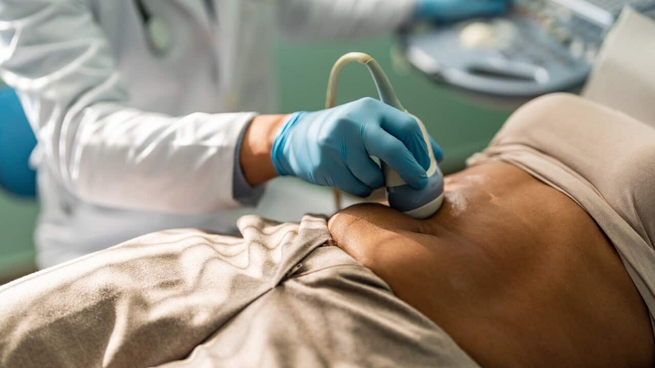 Ultrasound scanning of intestines, abdominal cavity, right lobe, liver, bile ducts, gallbladder.