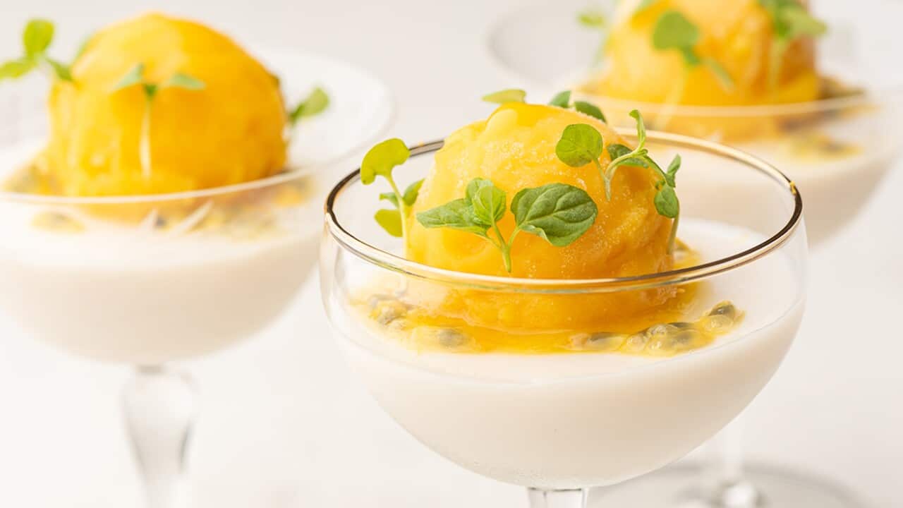 Coconut panna cotta with passionfruitmezcal sorbet SBS Food