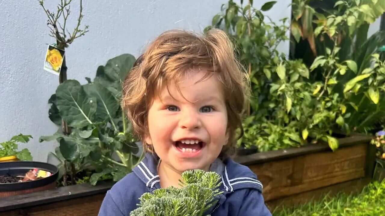 SYDNEY HOSPITAL TODDLER DEATH