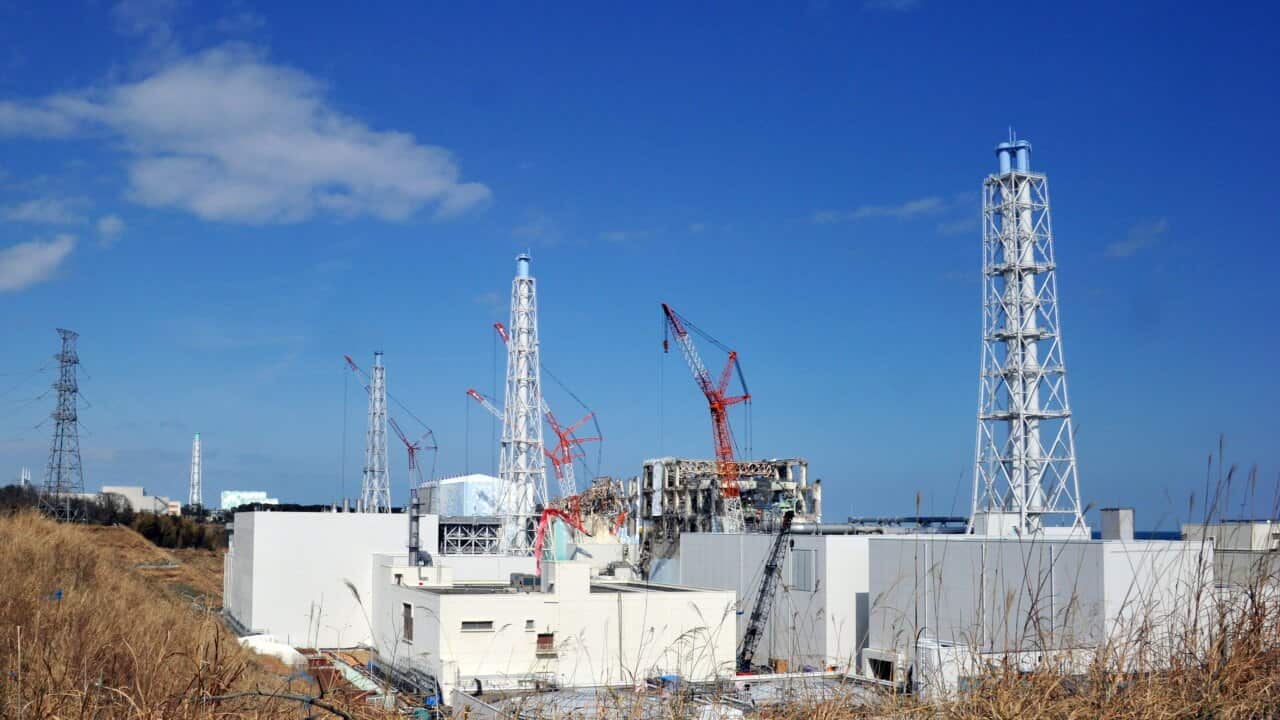 fukushima_140226_Getty.jpg