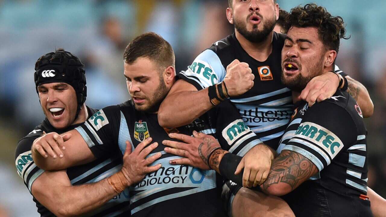 the Sharks celebrate