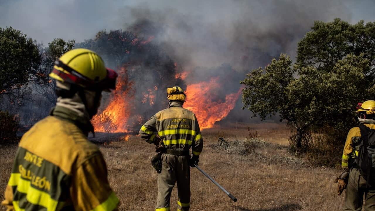 Firefighters try to extinguish flames during a wildfire in north western Spain