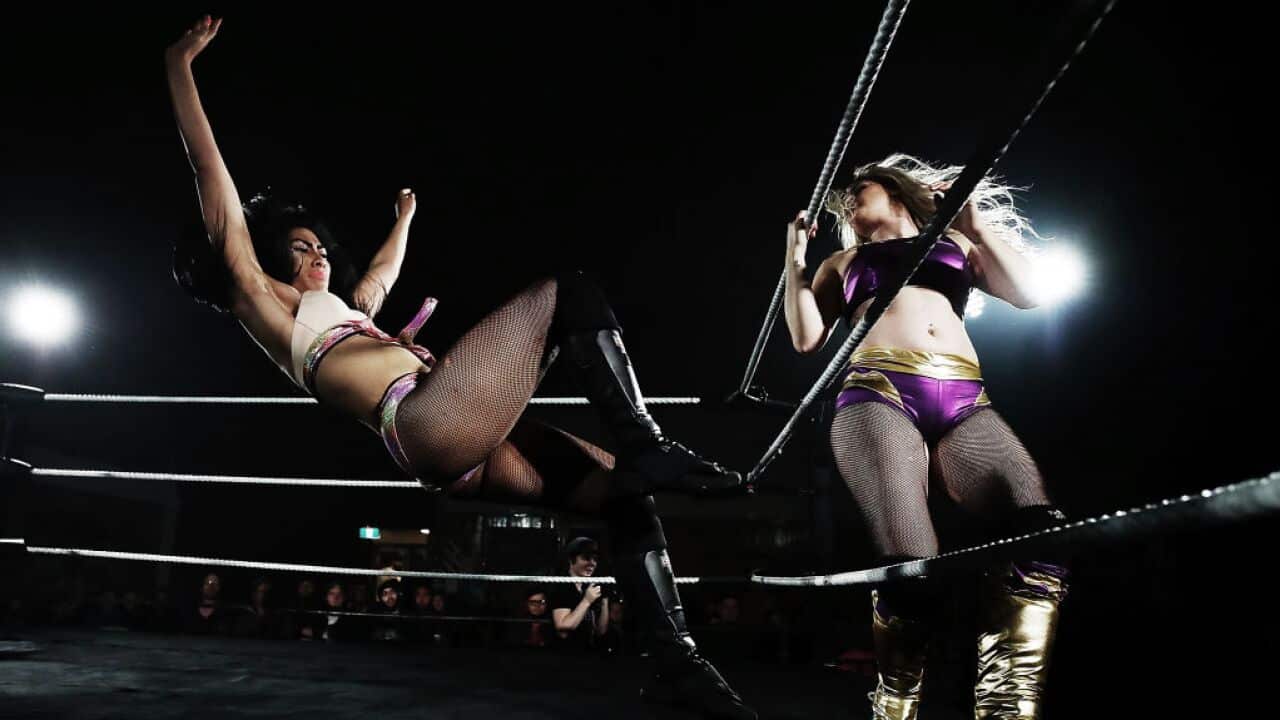 NZ Pro Wrestling Fight Night