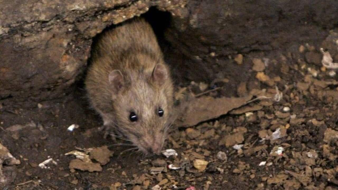 Image for read more article ''