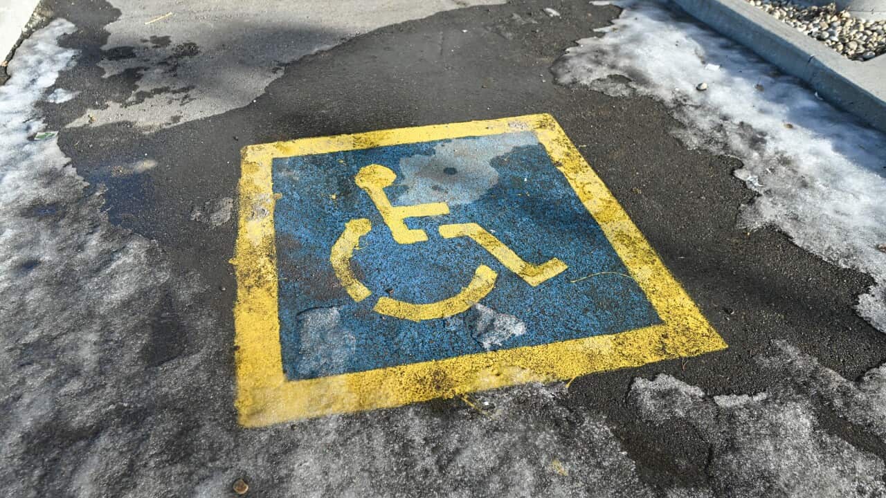 Daily Life In Edmonton