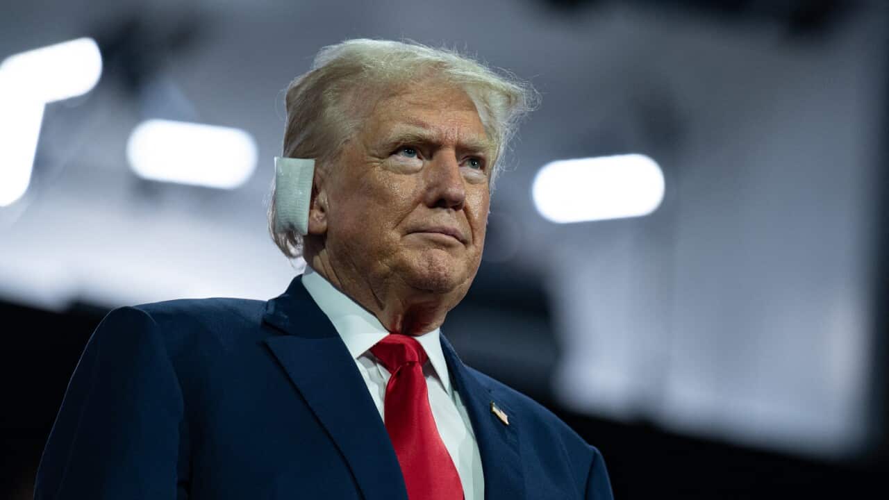 Trump with a bandaged ear.