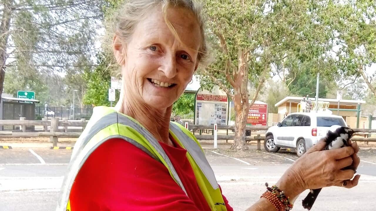 Inga Schweiger, engagierte freiwillige Mitarbeiterin bei WIRES