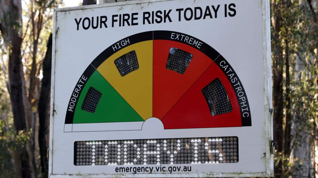 Image for read more article '更多內容'