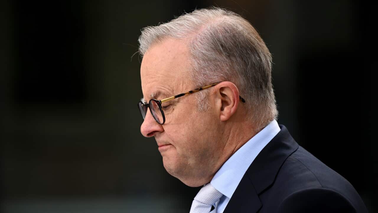 A side profile of Anthony Albanese, who has a serious expression on his face.