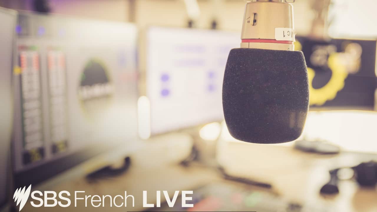 SBS LIVE French Pix fff.jpg