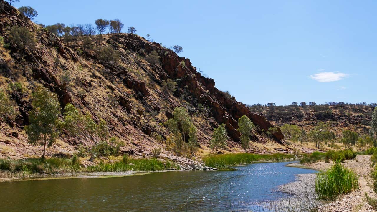 Image for read more article 'READ MORE'