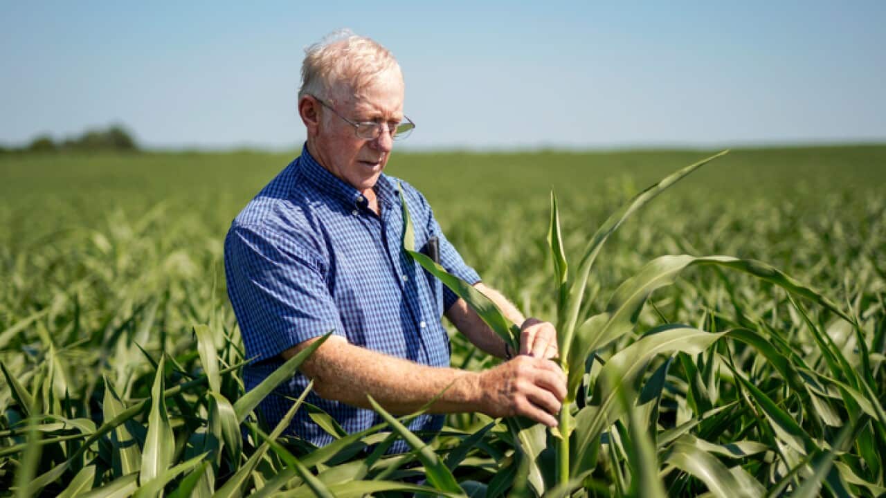 US Farmer