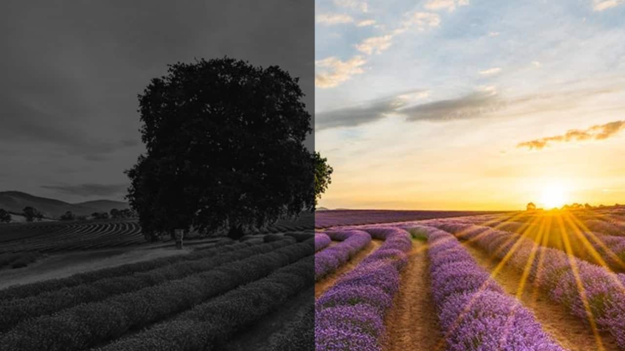 Mental Health Australia