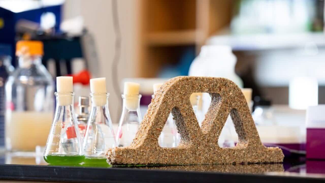 Bricks Alive! Scientists Create Living Concrete