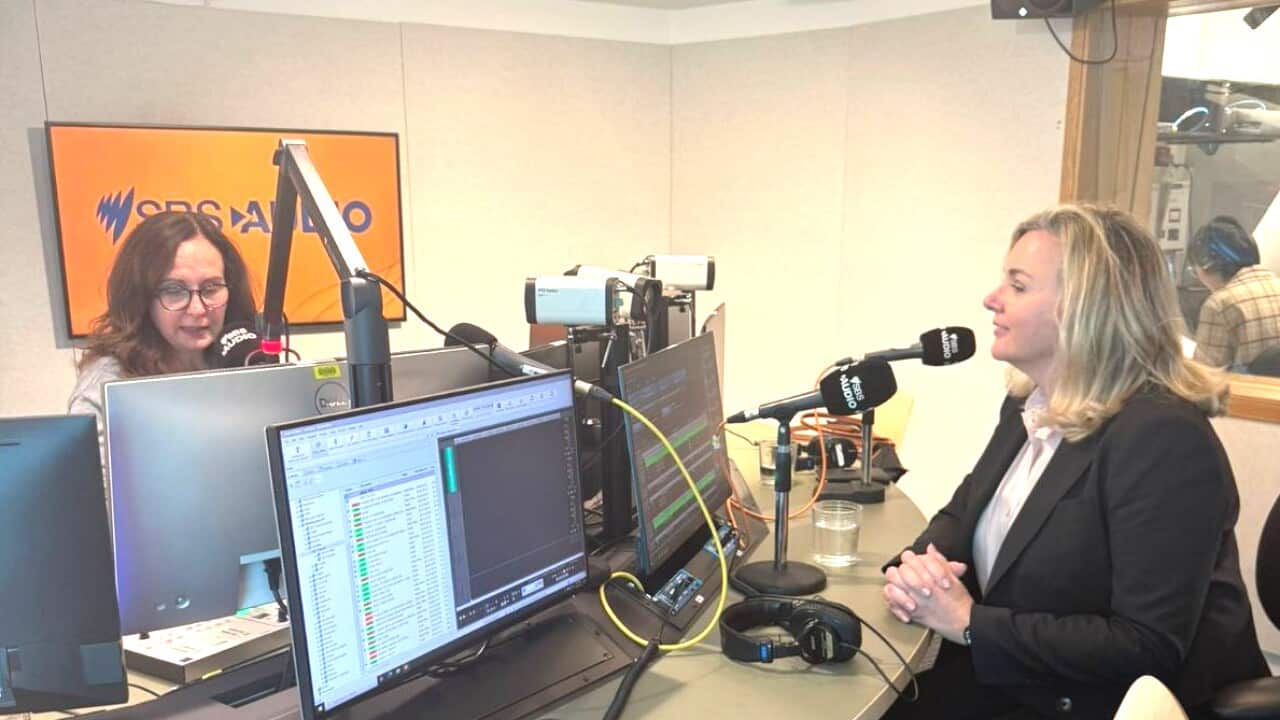 željana zovko sbs studio 061125 (2).jpg