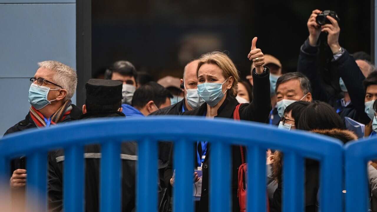 Thea Fisher (C) and the WHO team visiting the closed Huanan Seafood wholesale market in Wuhan in January