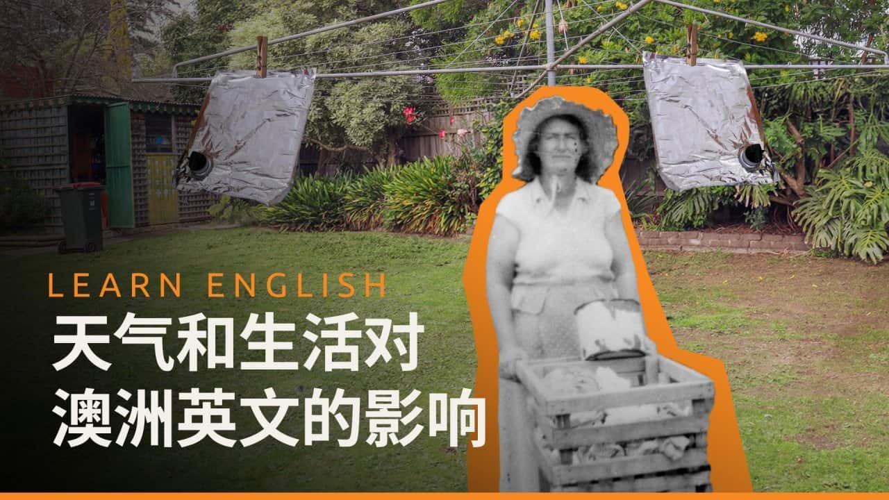Image for read more article '观看系列视频'