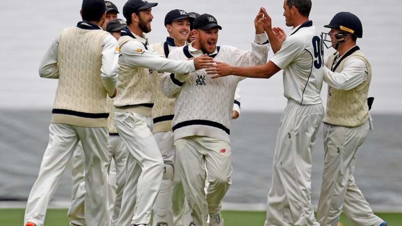 Aaron Finch of the Bushrangers is congratulated by teammates